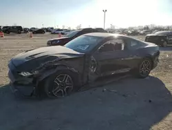 Salvage cars for sale at Indianapolis, IN auction: 2022 Ford Mustang