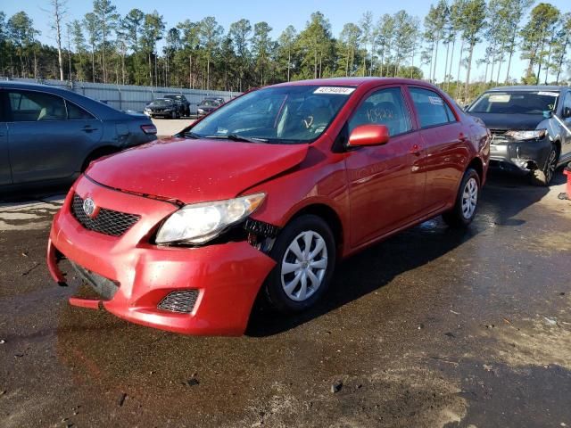 2010 Toyota Corolla Base