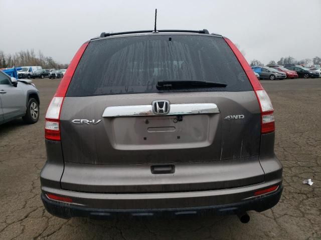 2010 Honda CR-V EXL