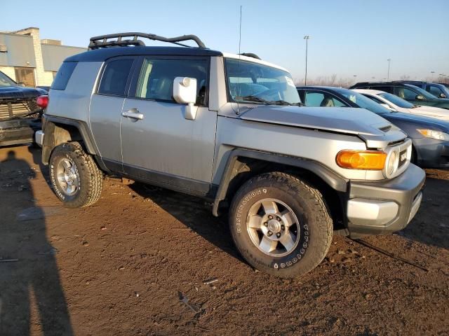 2010 Toyota FJ Cruiser