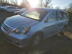 Salvage cars for sale at Baltimore, MD auction: 2010 Honda Odyssey EXL