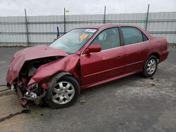 Honda Accord ex Vehiculos salvage en venta: 2001 Honda Accord EX