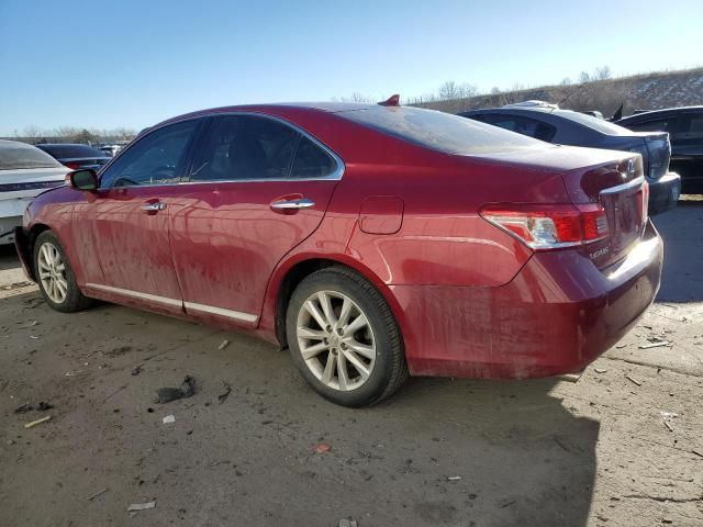 2010 Lexus ES 350