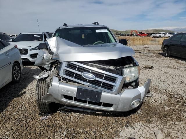 2008 Ford Escape XLT