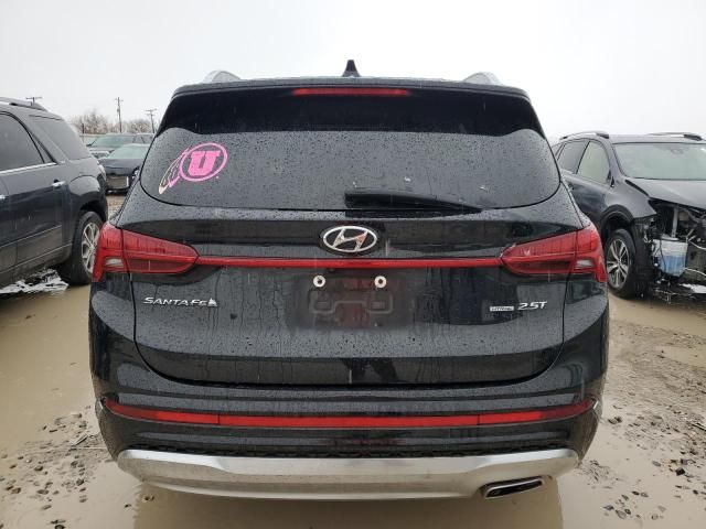 2021 Hyundai Santa FE Calligraphy