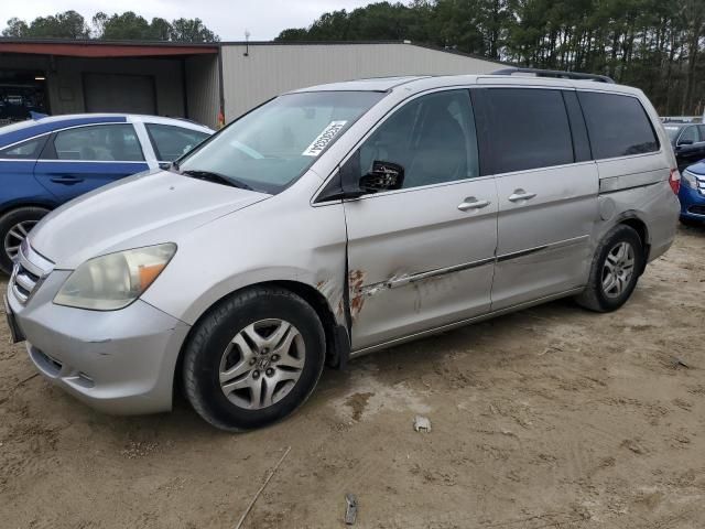 2005 Honda Odyssey EXL