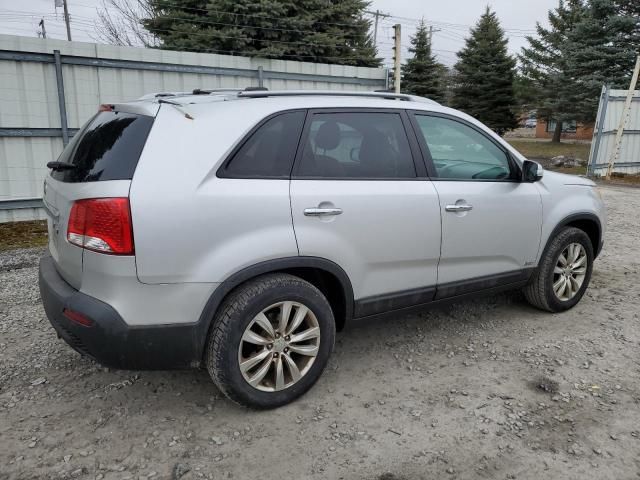 2011 KIA Sorento Base