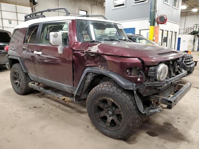 2007 Toyota FJ Cruiser