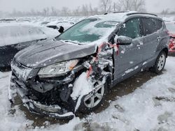 Salvage cars for sale from Copart Bridgeton, MO: 2013 Ford Escape SE