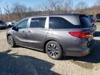 2023 Honda Odyssey EXL