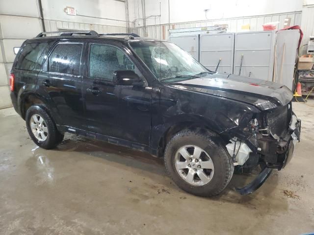 2009 Ford Escape Limited