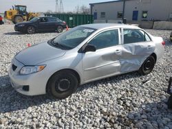 Salvage cars for sale at Barberton, OH auction: 2010 Toyota Corolla Base