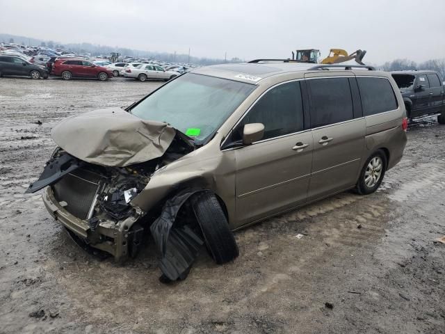 2008 Honda Odyssey EXL