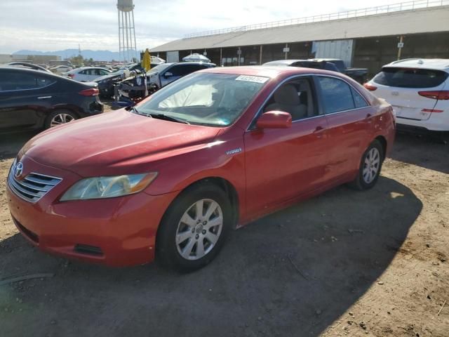 2009 Toyota Camry Hybrid