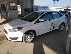 Ford Focus SE salvage cars for sale: 2015 Ford Focus SE