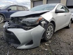 Toyota Corolla salvage cars for sale: 2019 Toyota Corolla L