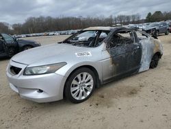 Honda salvage cars for sale: 2008 Honda Accord EXL