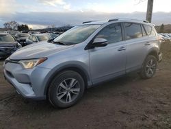 Toyota Rav4 salvage cars for sale: 2016 Toyota Rav4 XLE