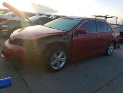 Toyota Camry L salvage cars for sale: 2014 Toyota Camry L