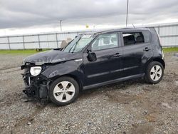 Salvage cars for sale at Sacramento, CA auction: 2015 KIA Soul