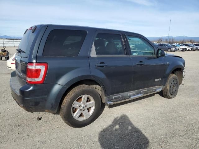 2008 Ford Escape HEV