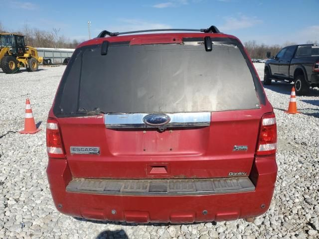 2010 Ford Escape Limited