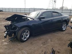 Salvage cars for sale at Elgin, IL auction: 2015 Dodge Charger SE