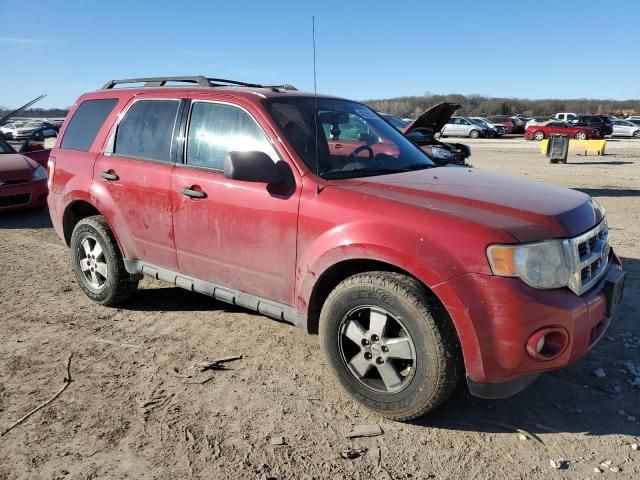 2010 Ford Escape XLT