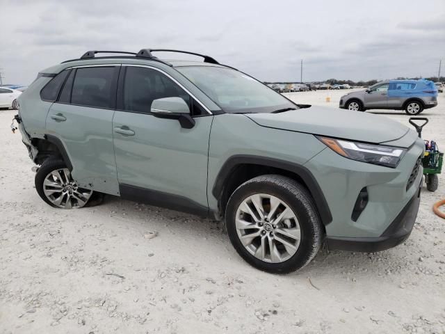 2023 Toyota Rav4 XLE Premium