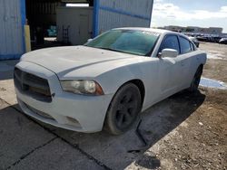 Salvage cars for sale at North Las Vegas, NV auction: 2013 Dodge Charger SE