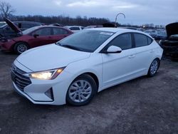 Hyundai Elantra SE salvage cars for sale: 2020 Hyundai Elantra SE