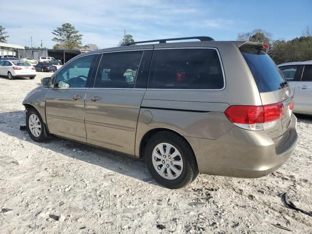 2008 Honda Odyssey EXL