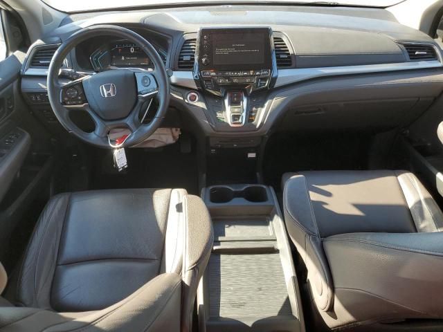 2019 Honda Odyssey EXL