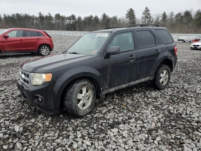 2010 Ford Escape XLT