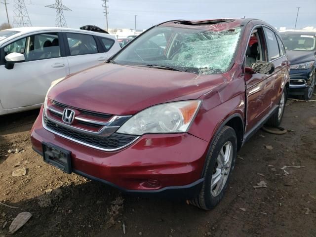 2010 Honda CR-V EXL