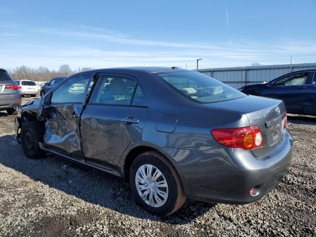 2010 Toyota Corolla Base