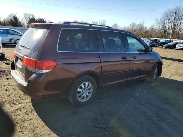 2008 Honda Odyssey EXL