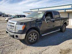 Ford salvage cars for sale: 2014 Ford F150 Supercrew