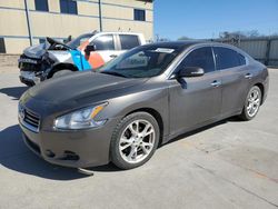 Salvage cars for sale from Copart Wilmer, TX: 2013 Nissan Maxima S