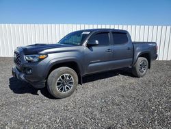 Salvage cars for sale at Fredericksburg, VA auction: 2023 Toyota Tacoma Double Cab