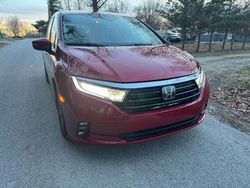 2022 Honda Odyssey EX for sale in Prairie Grove, AR
