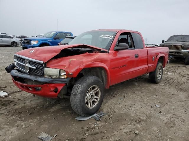 2004 Dodge Dakota SXT