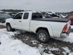 2005 Toyota Tacoma Access Cab