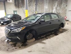 Carros reportados por vandalismo a la venta en subasta: 2016 Hyundai Sonata SE