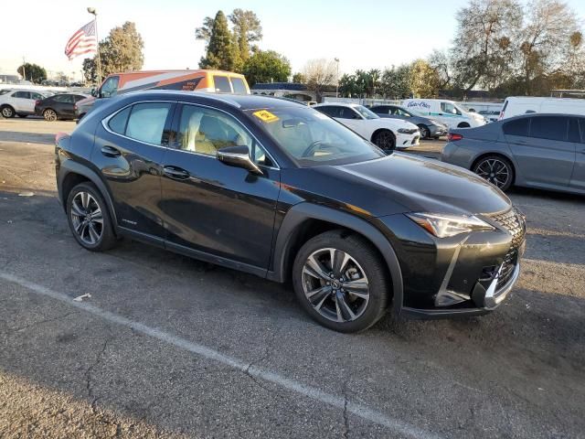 2021 Lexus UX 250H