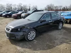 Salvage cars for sale at Baltimore, MD auction: 2010 Honda Accord EXL