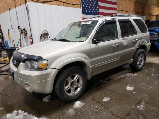 2005 Ford Escape Limited
