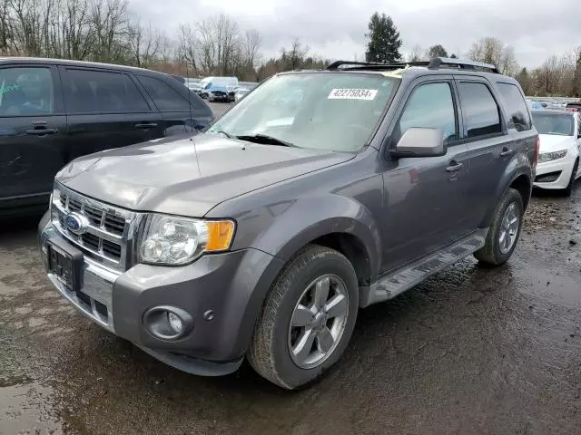 2010 Ford Escape Limited