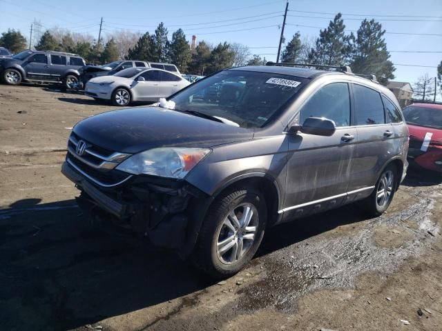 2010 Honda CR-V EXL