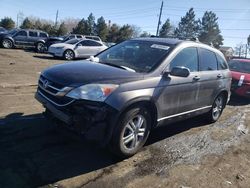 Honda CRV salvage cars for sale: 2010 Honda CR-V EXL